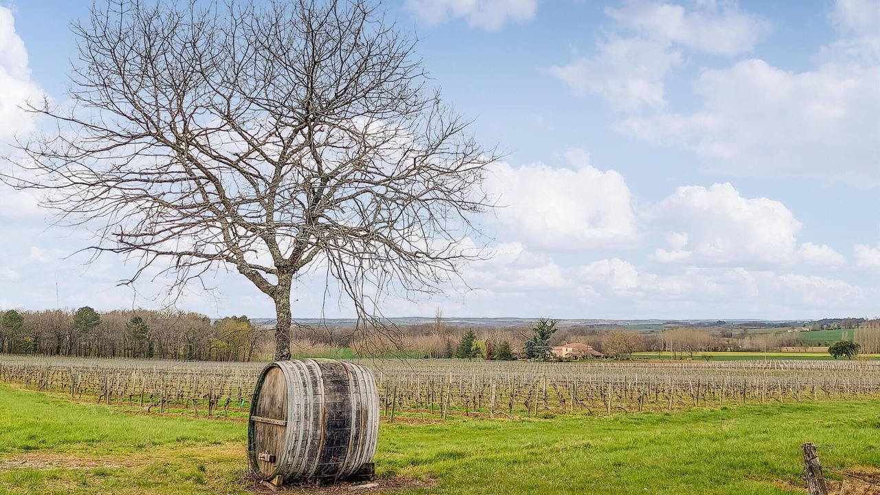 Photo of Others in Labastide-dArmagnac