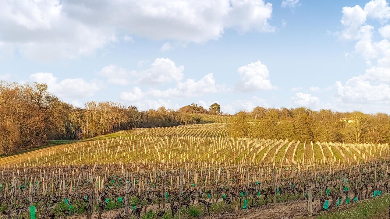 Photo of Others in Labastide-dArmagnac