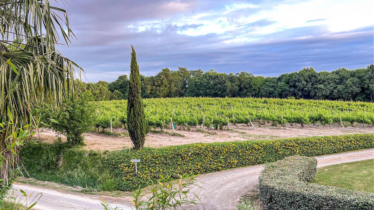Photo of Others in Labastide-dArmagnac