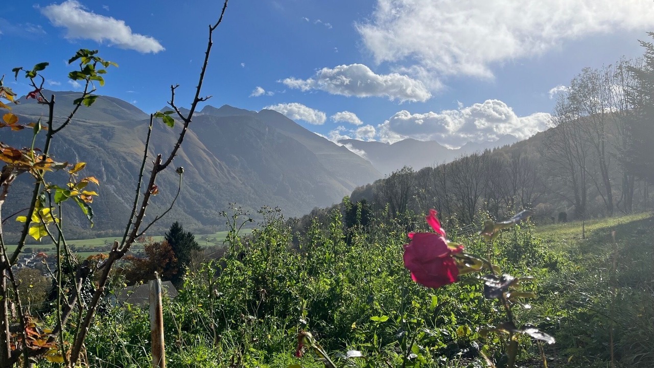Photo of Outdoor in Bilheres