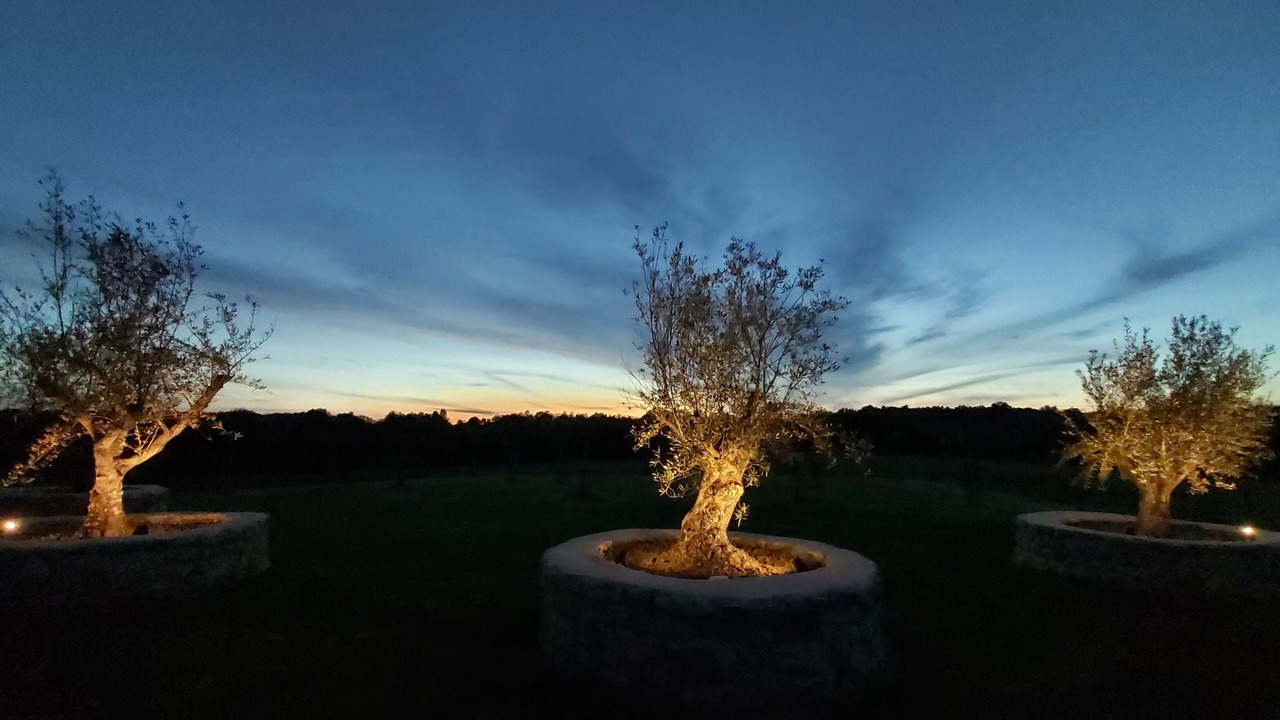 Photo of Outdoor in Villegouge