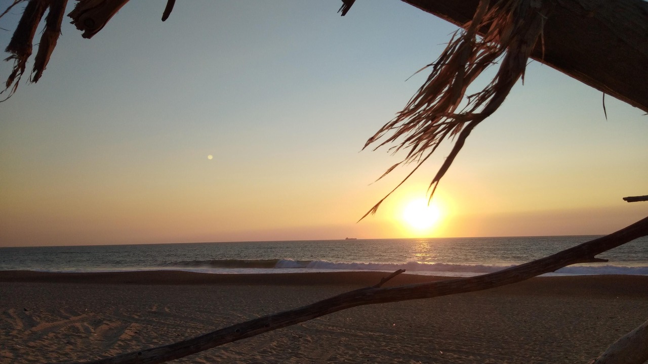 Photo of Others in Labenne-Ocean
