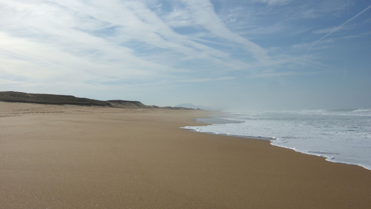 Photo of Others in Labenne-Ocean