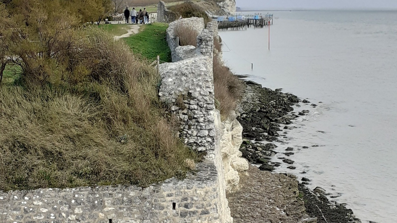 Photo of Others in Meschers-sur-Gironde