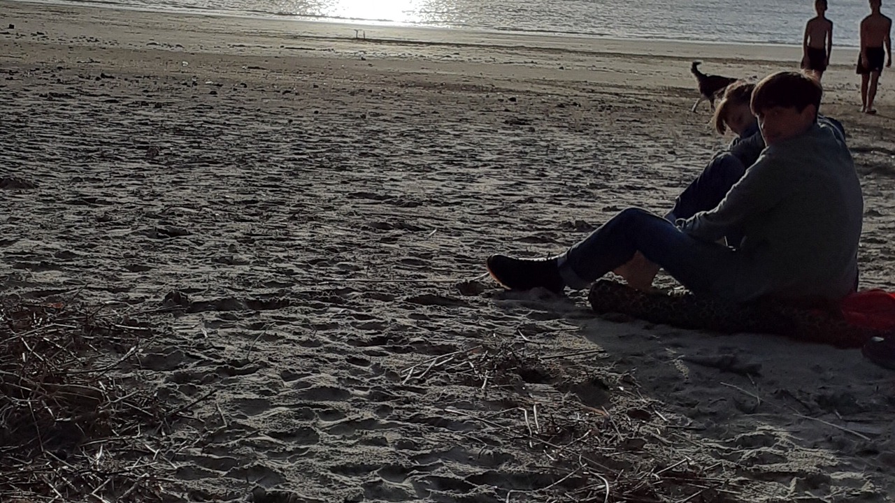Photo of Others in Meschers-sur-Gironde