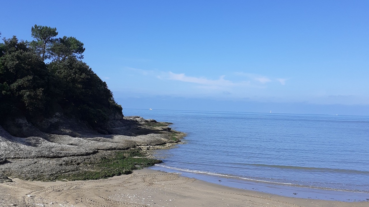 Photo of Others in Meschers-sur-Gironde