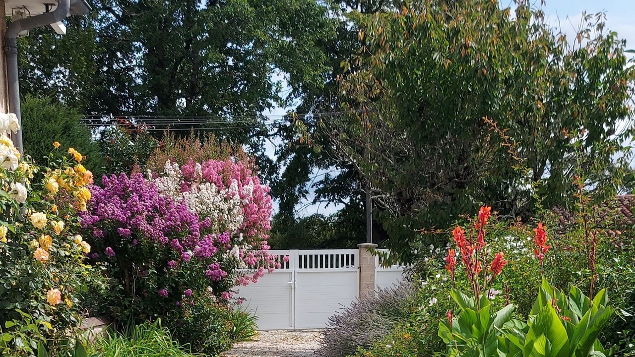 Photo of Outdoor in Saint-Martin-de-Riberac