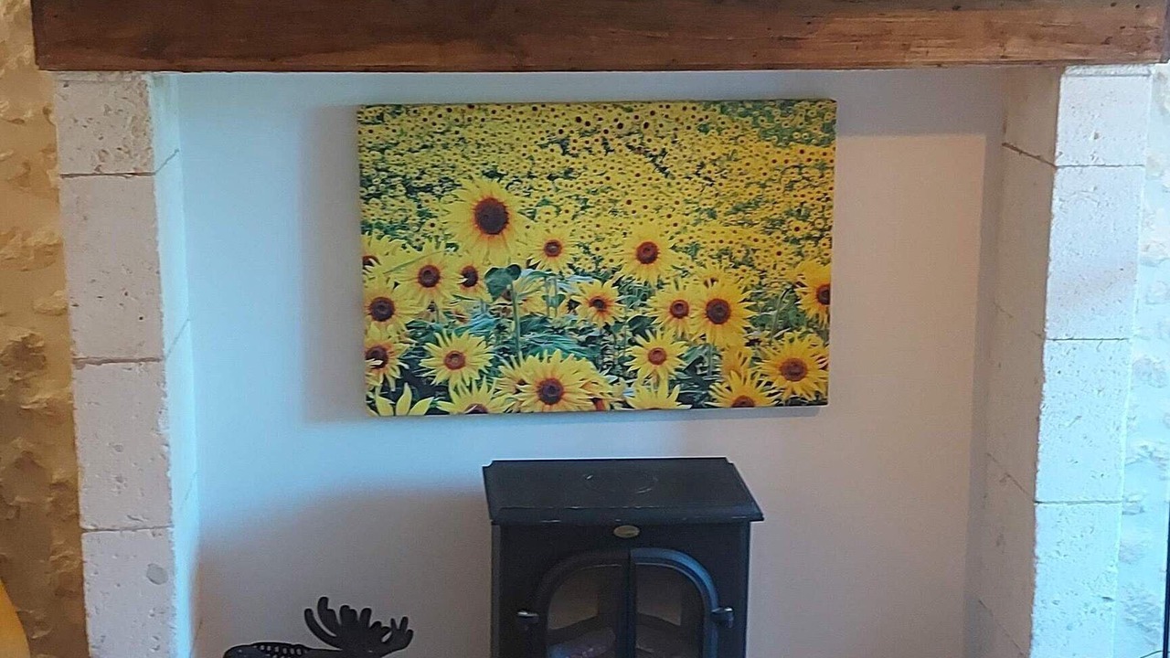 Photo of Livingroom in Saint-Martin-de-Riberac