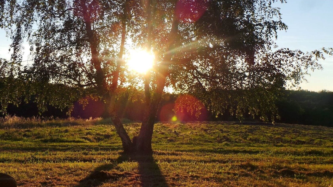Photo of Outdoor in Villegouge