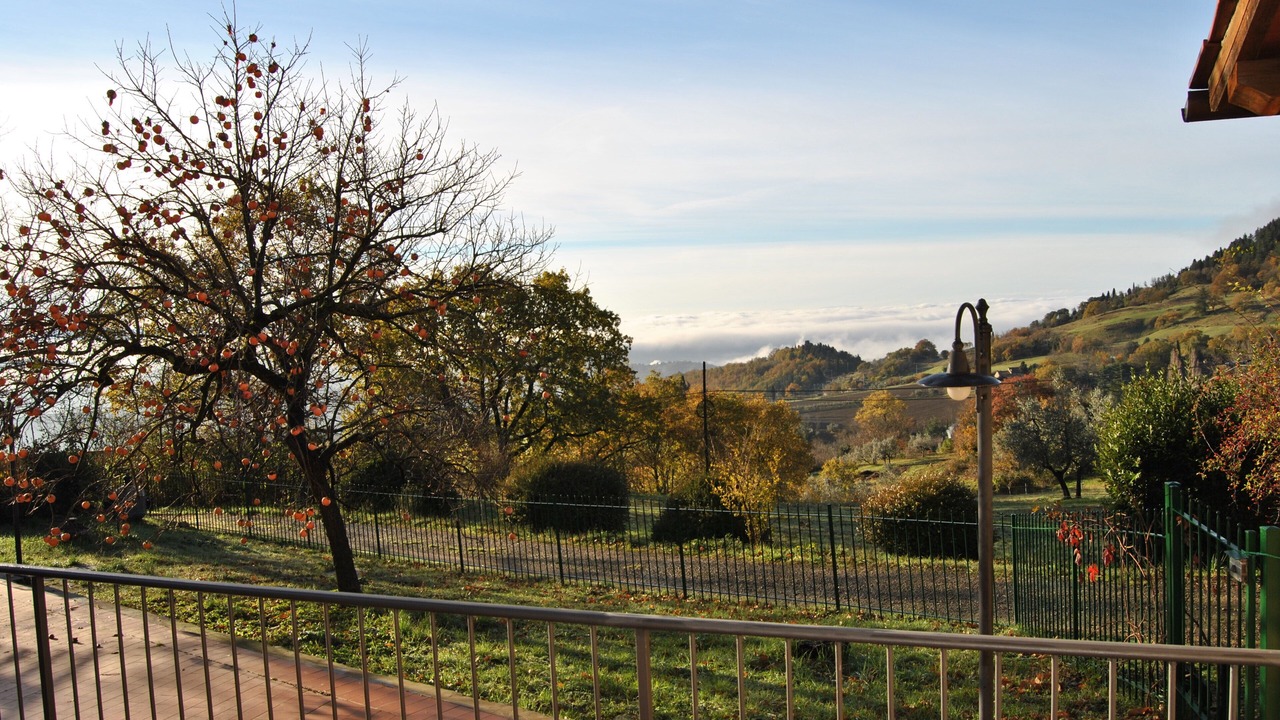 Photo of Outdoor in Sesto Fiorentino