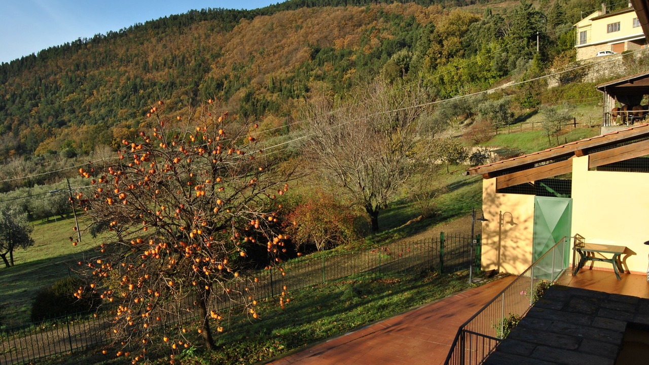 Photo of Outdoor in Sesto Fiorentino
