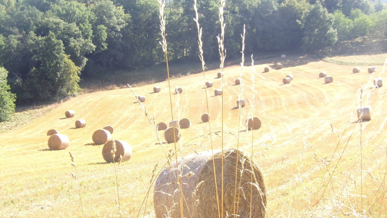 Photo of Outdoor in Salignac-Eyvignes