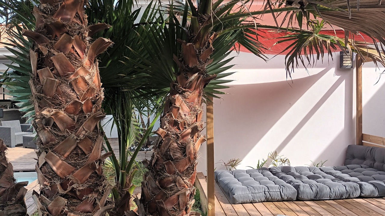 Photo of Patio Balcony in Tarnos