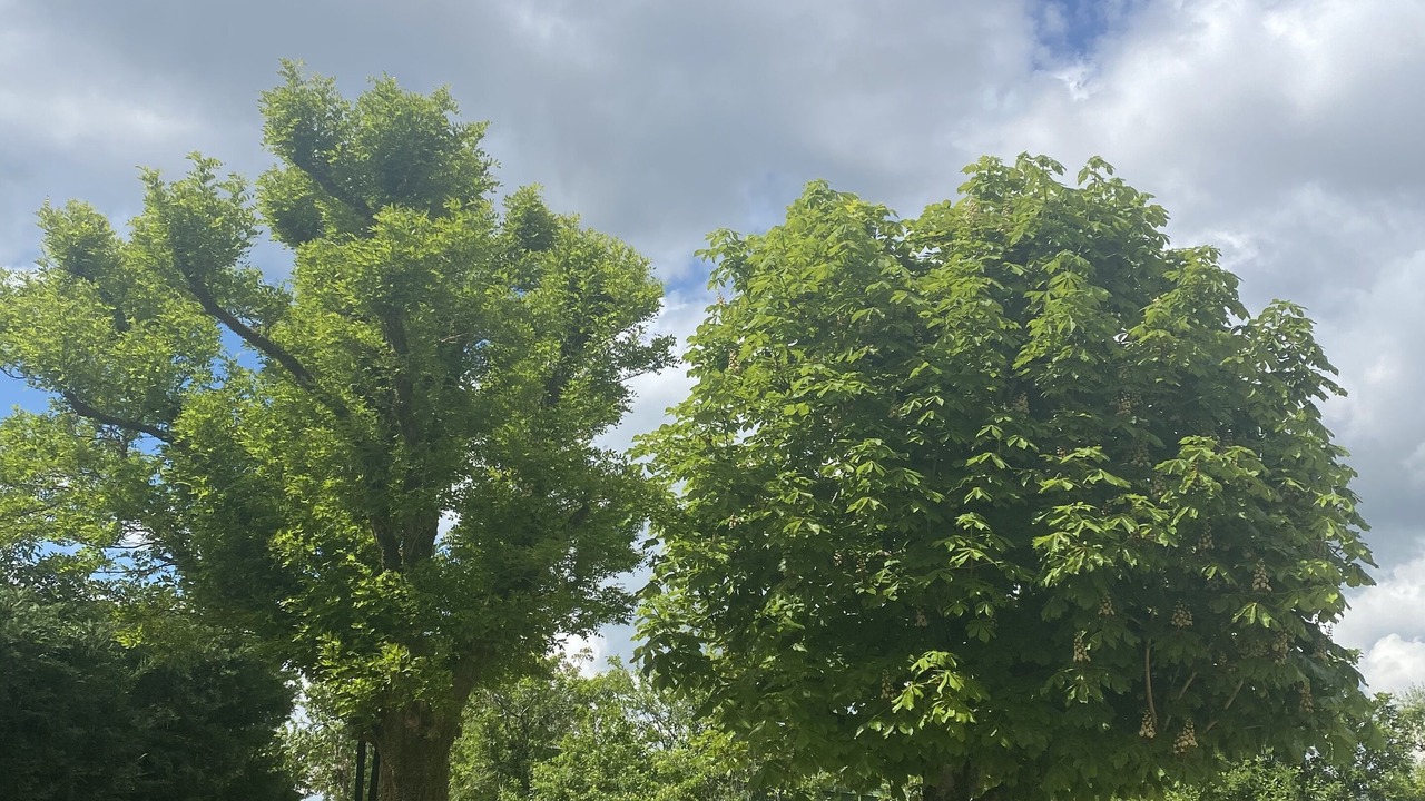Photo of Outdoor in Messe