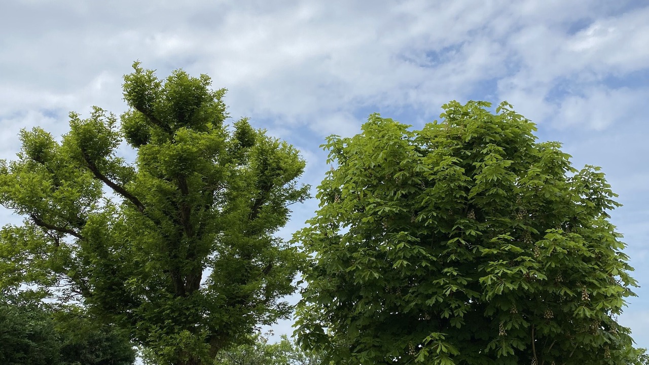 Photo of Outdoor in Messe