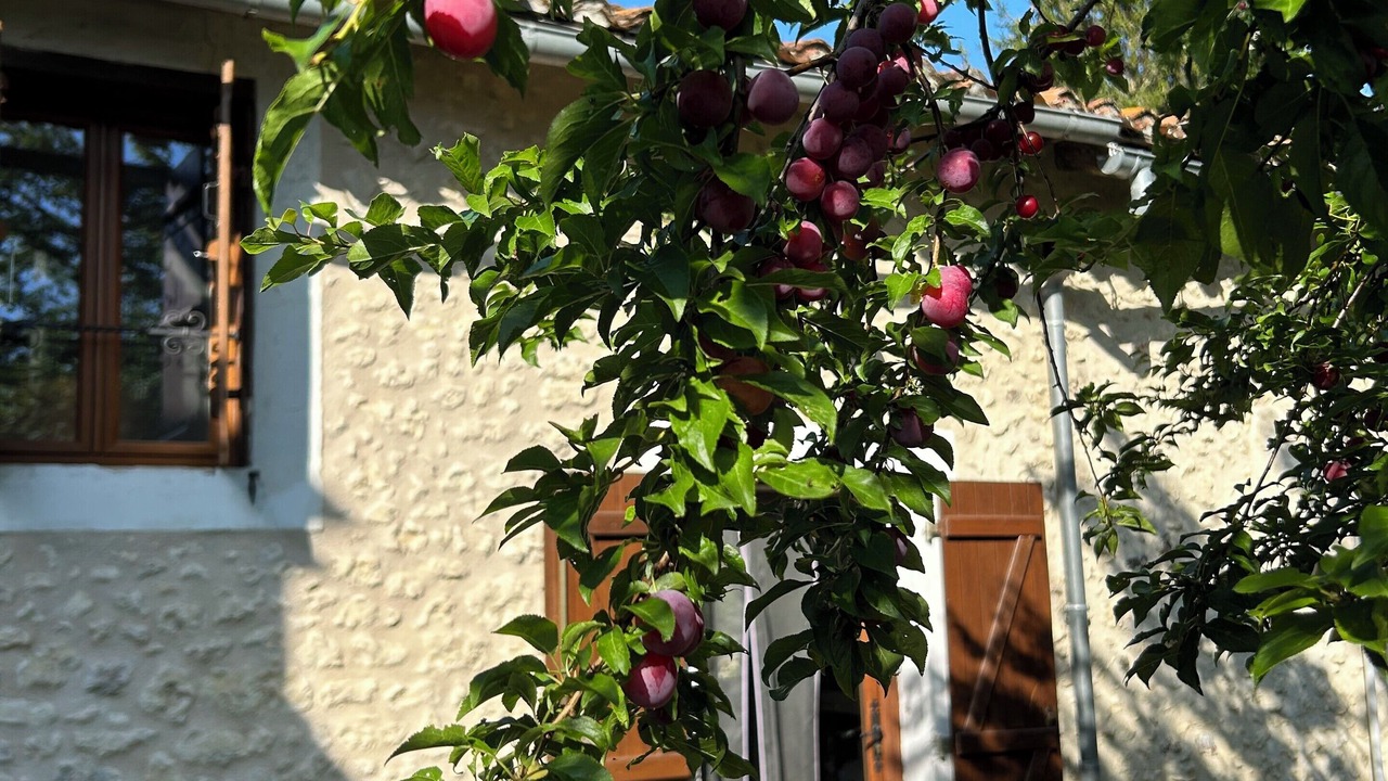 Photo of Outdoor in Saint-Martin-de-Riberac