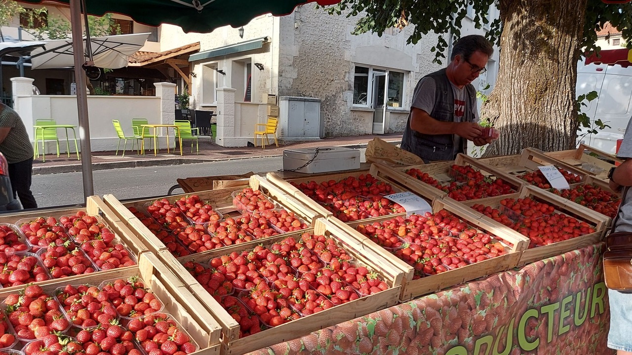 Photo of Outdoor in Saint-Martin-de-Riberac