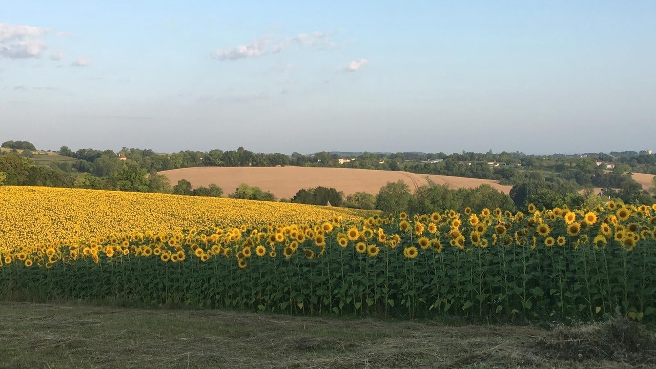 Photo of Others in Saint-Martin-de-Riberac