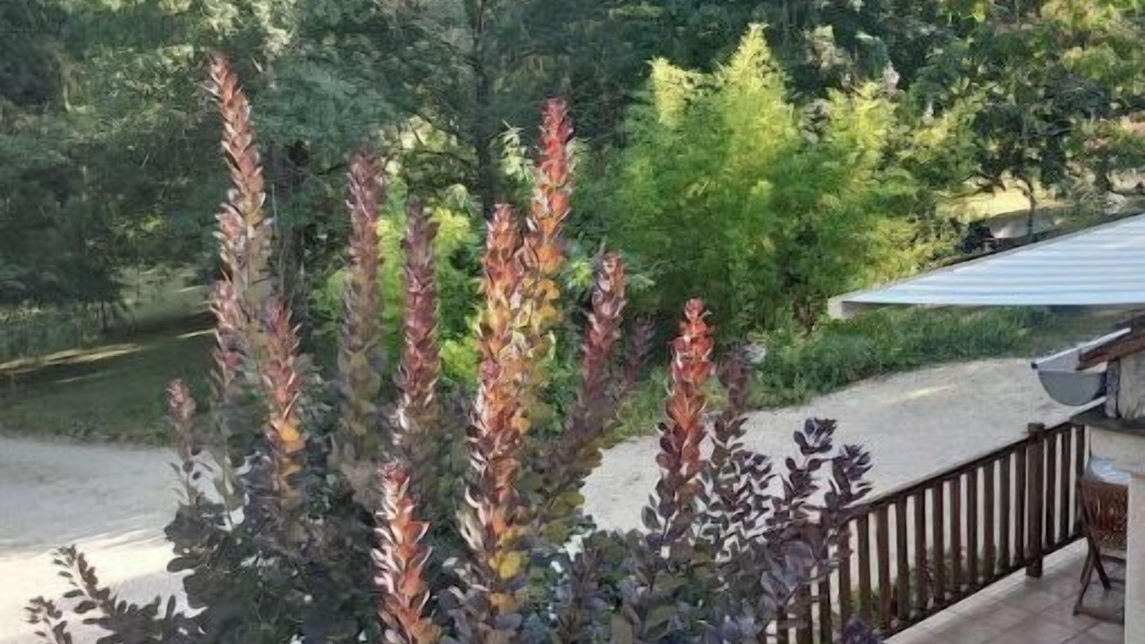 Photo of Patio Balcony in Sainte-Alvere