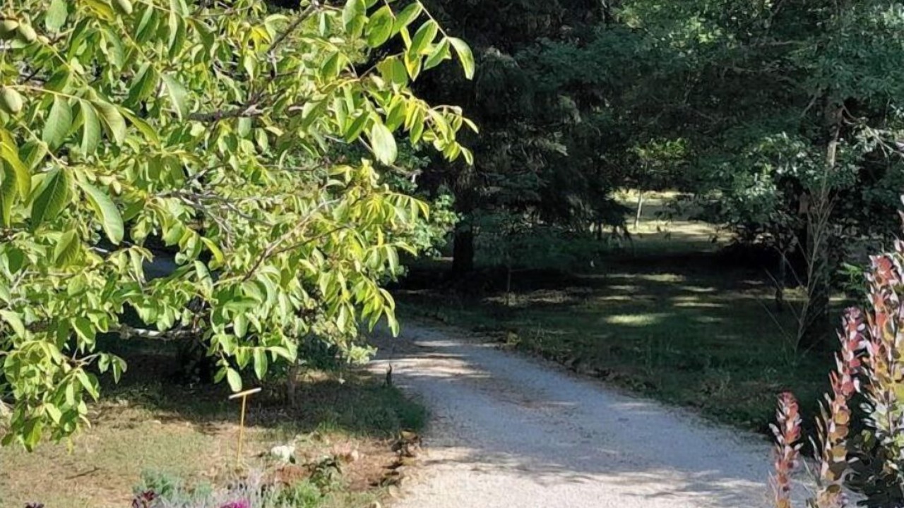 Photo of Outdoor in Sainte-Alvere