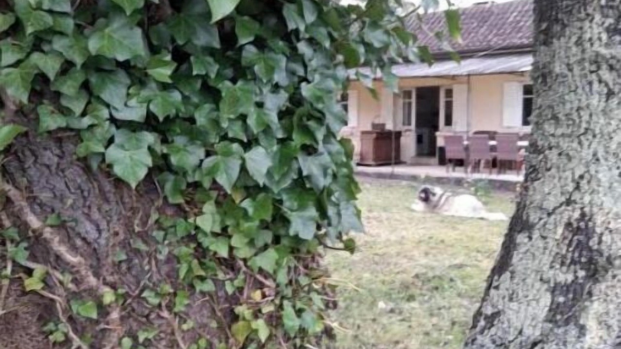 Photo of Outdoor in Saint-Cyprien
