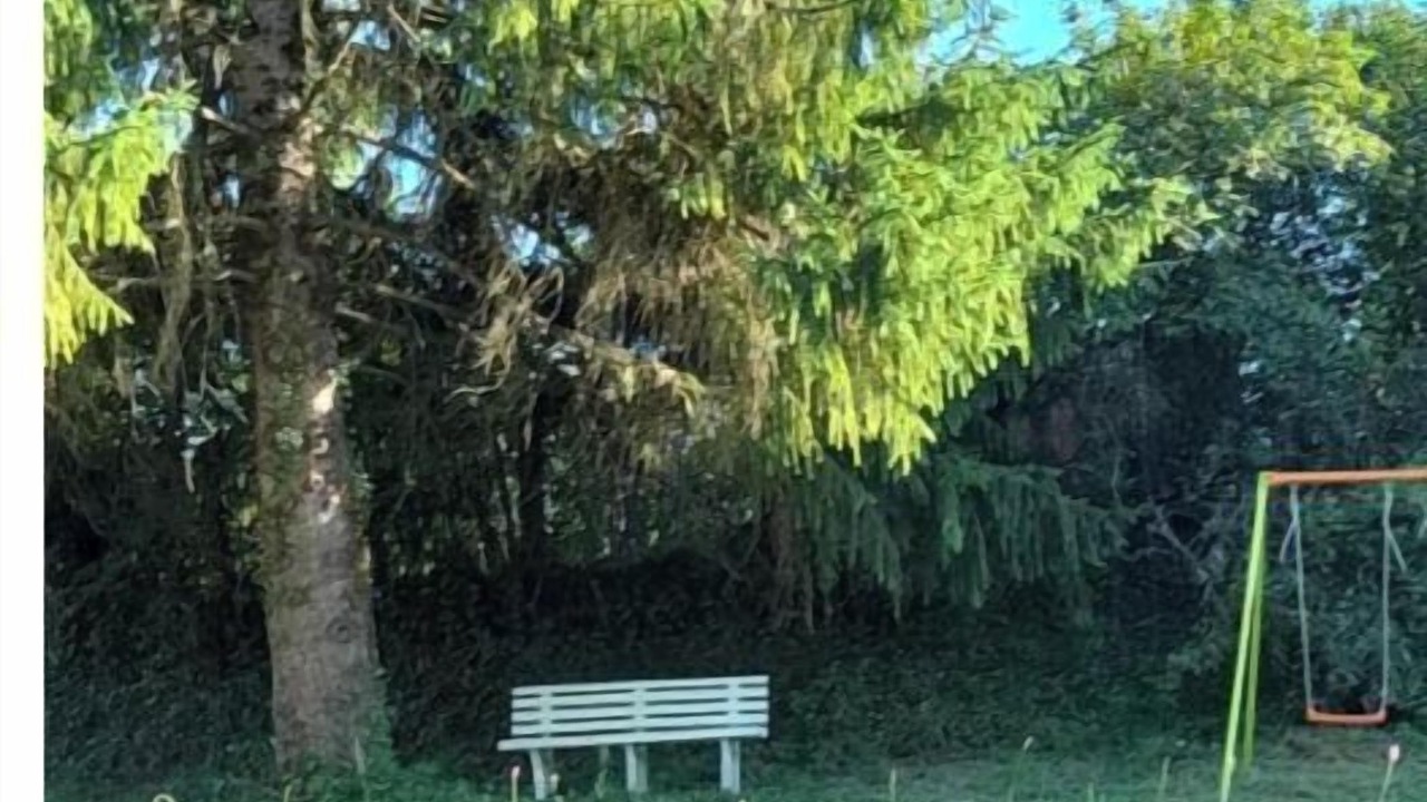 Photo of Outdoor in Saint-Cyprien