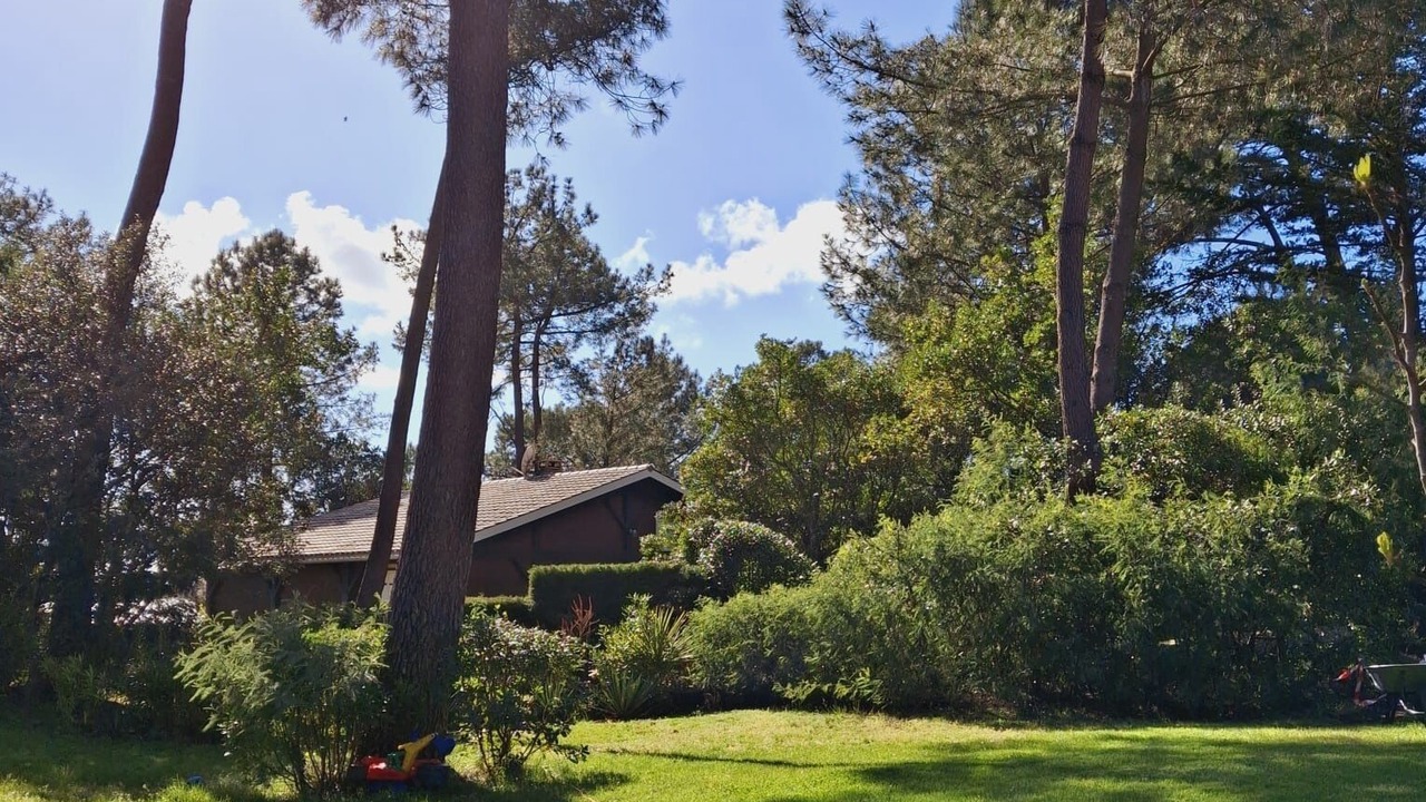 Photo of Outdoor in Lacanau