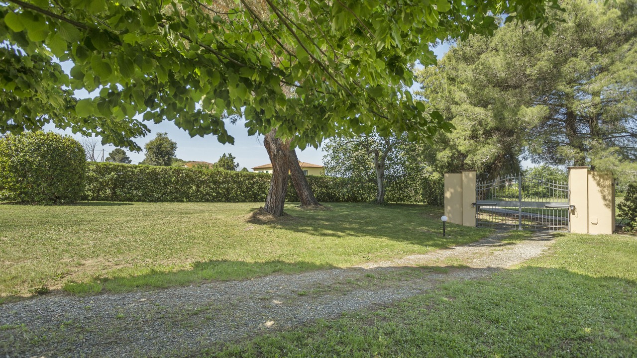 Photo of Outdoor in Livorno