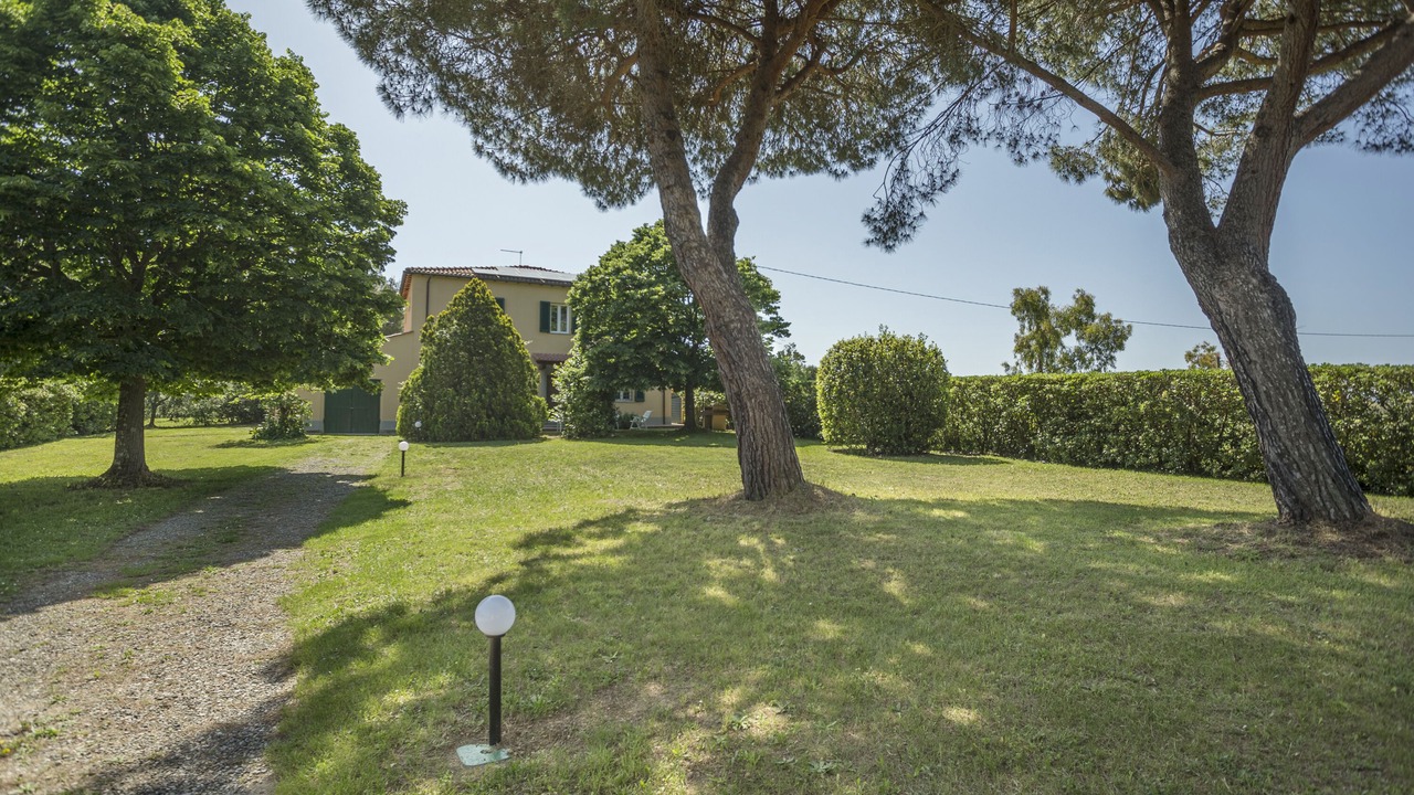 Photo of Outdoor in Livorno