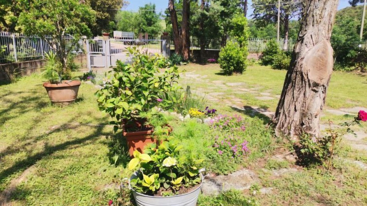 Photo of Outdoor in Roccastrada