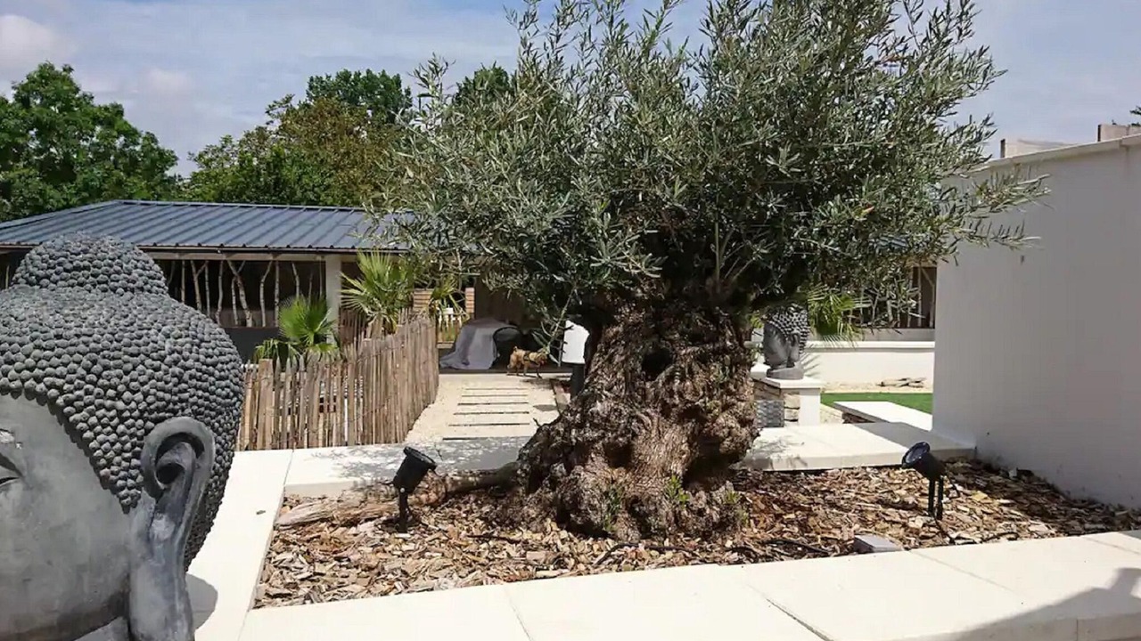Photo of Patio Balcony in Nuaille d'Aunis