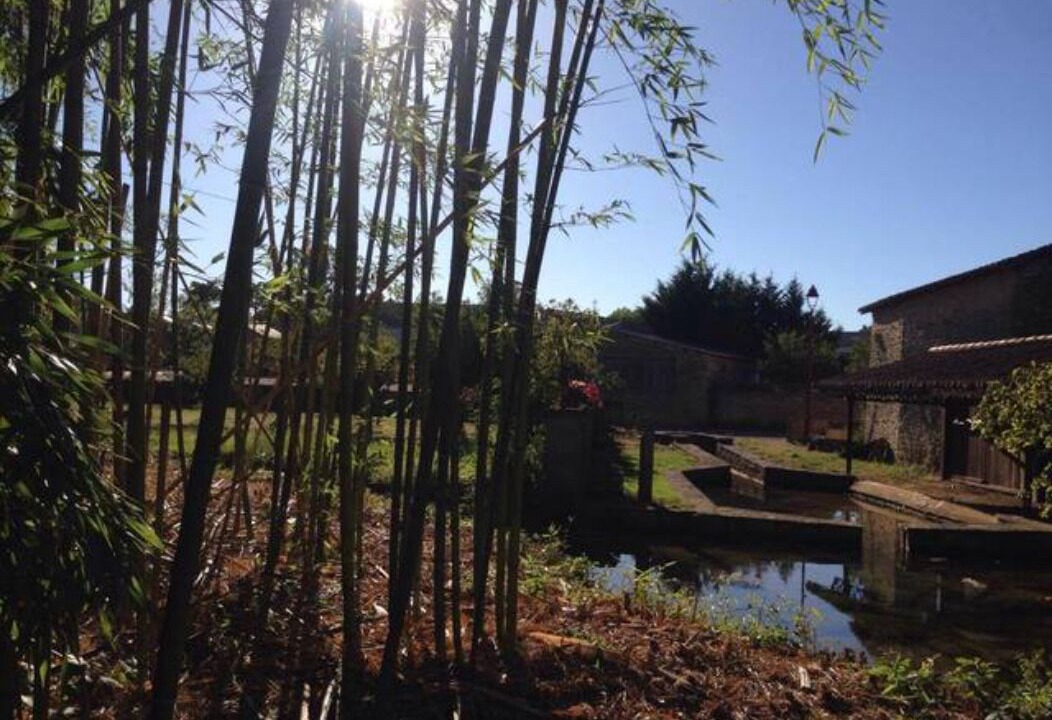 Photo of Outdoor in La Grimaudiere