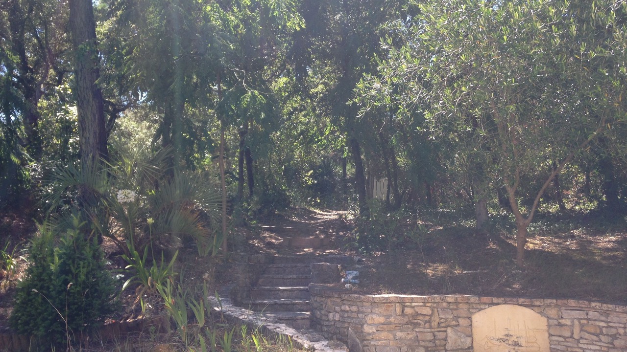 Photo of Outdoor in Saint-Georges-d'Oleron