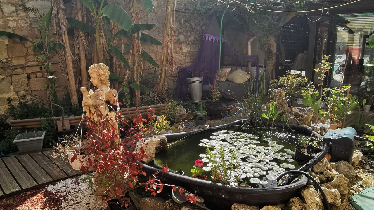 Photo of Outdoor in Abzac