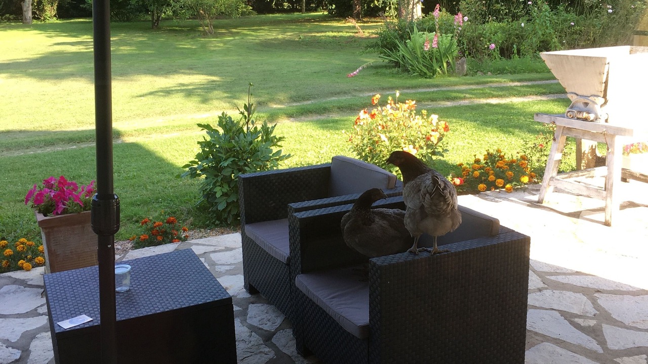 Photo of Patio Balcony in Sainte-Terre