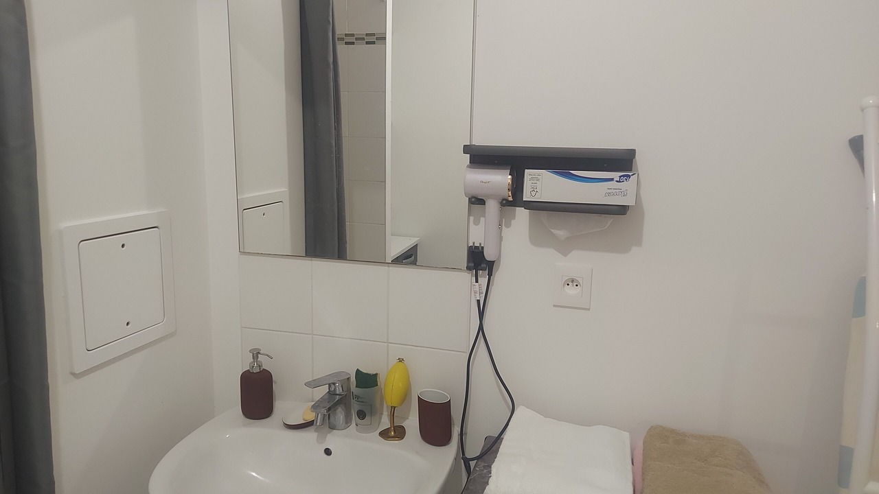 Photo of Bathroom in Bassins a Flot