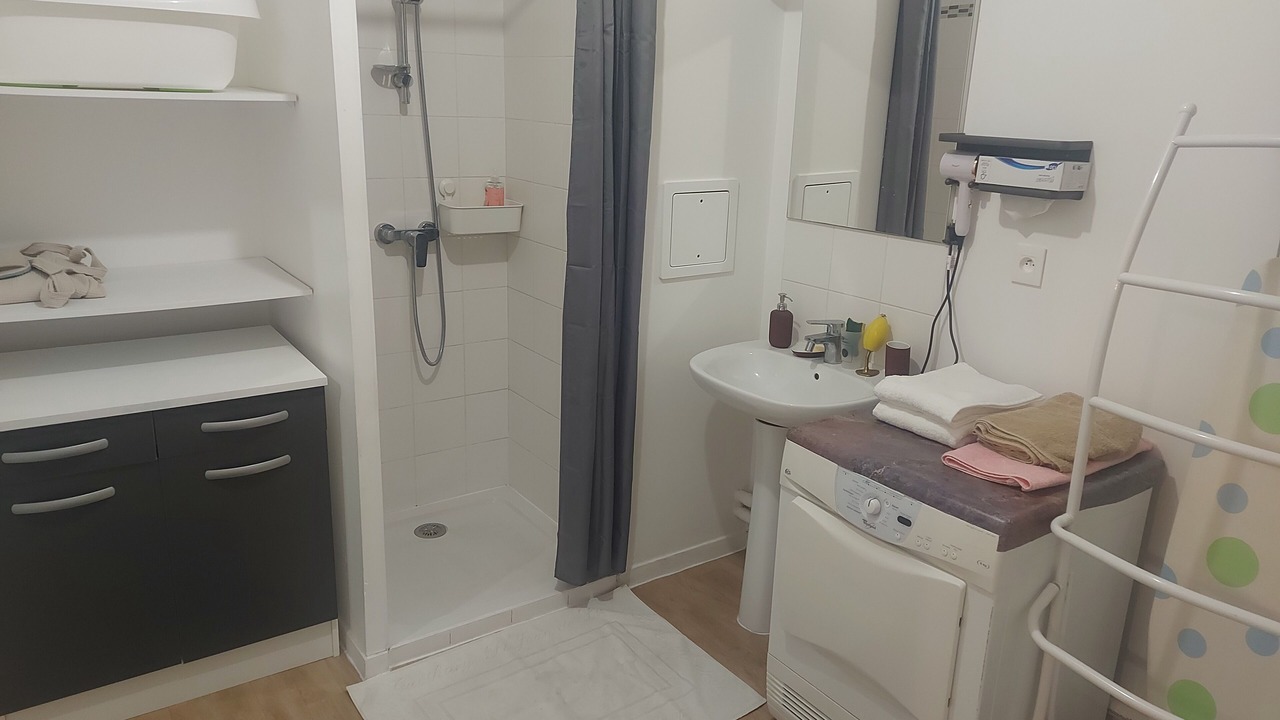 Photo of Bathroom in Bassins a Flot