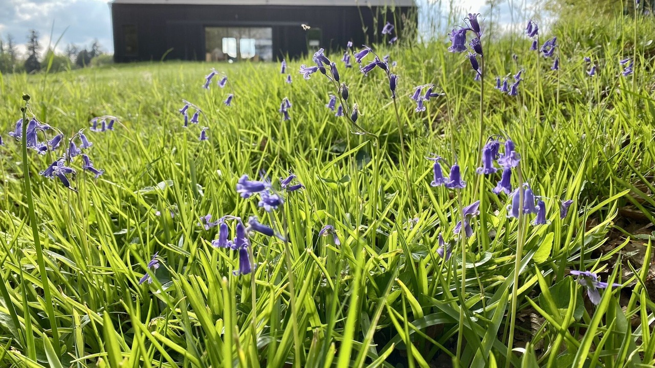 Photo of Outdoor in Panazol
