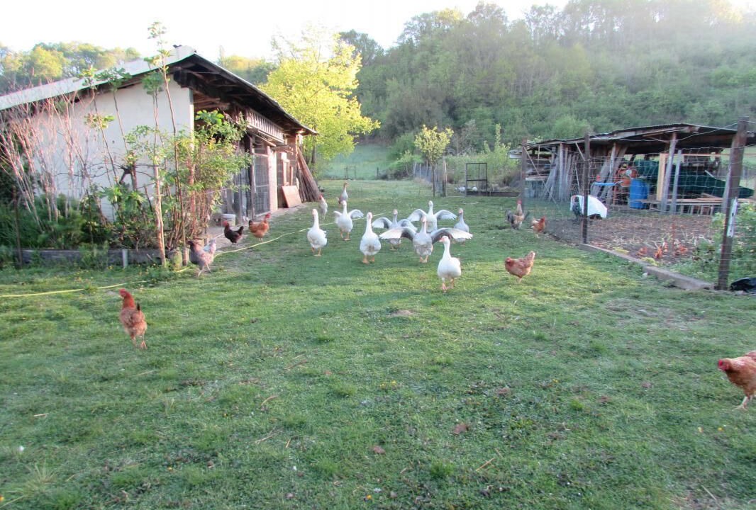 Photo of Outdoor in Sorde-lAbbaye