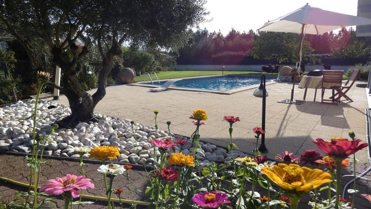 Photo of Outdoor in Liposthey