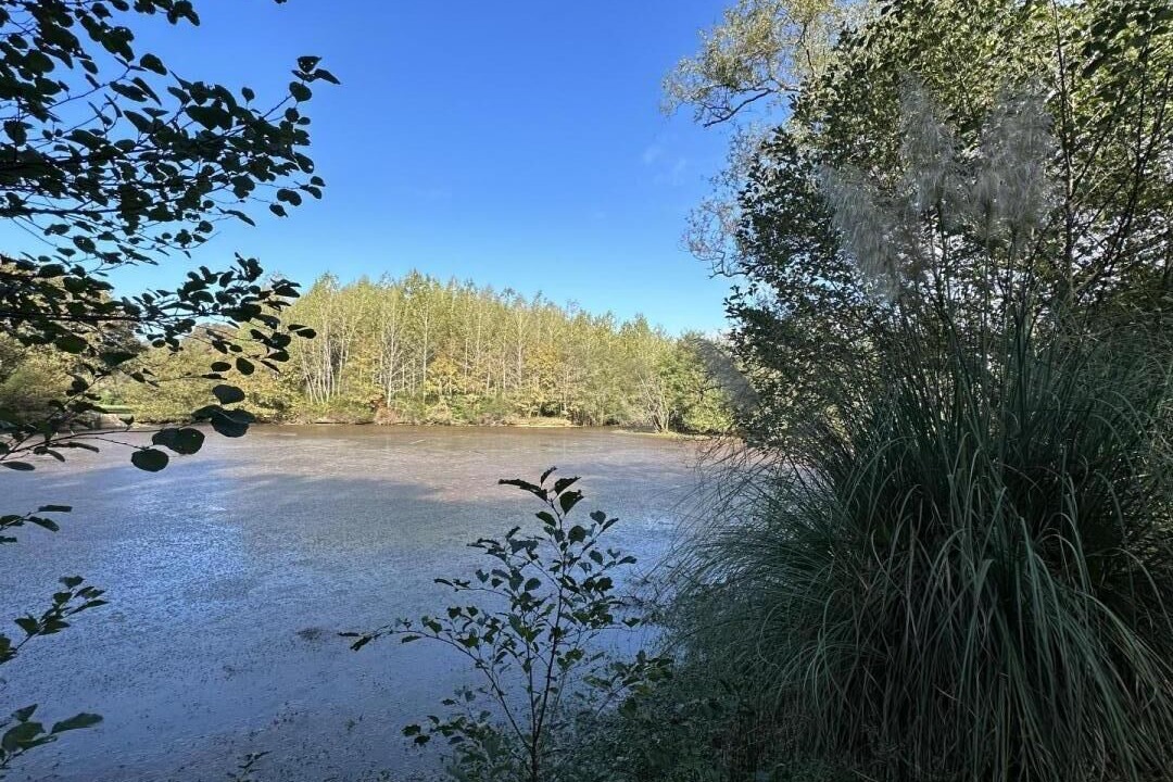Photo of Outdoor in Prechacq-les-Bains