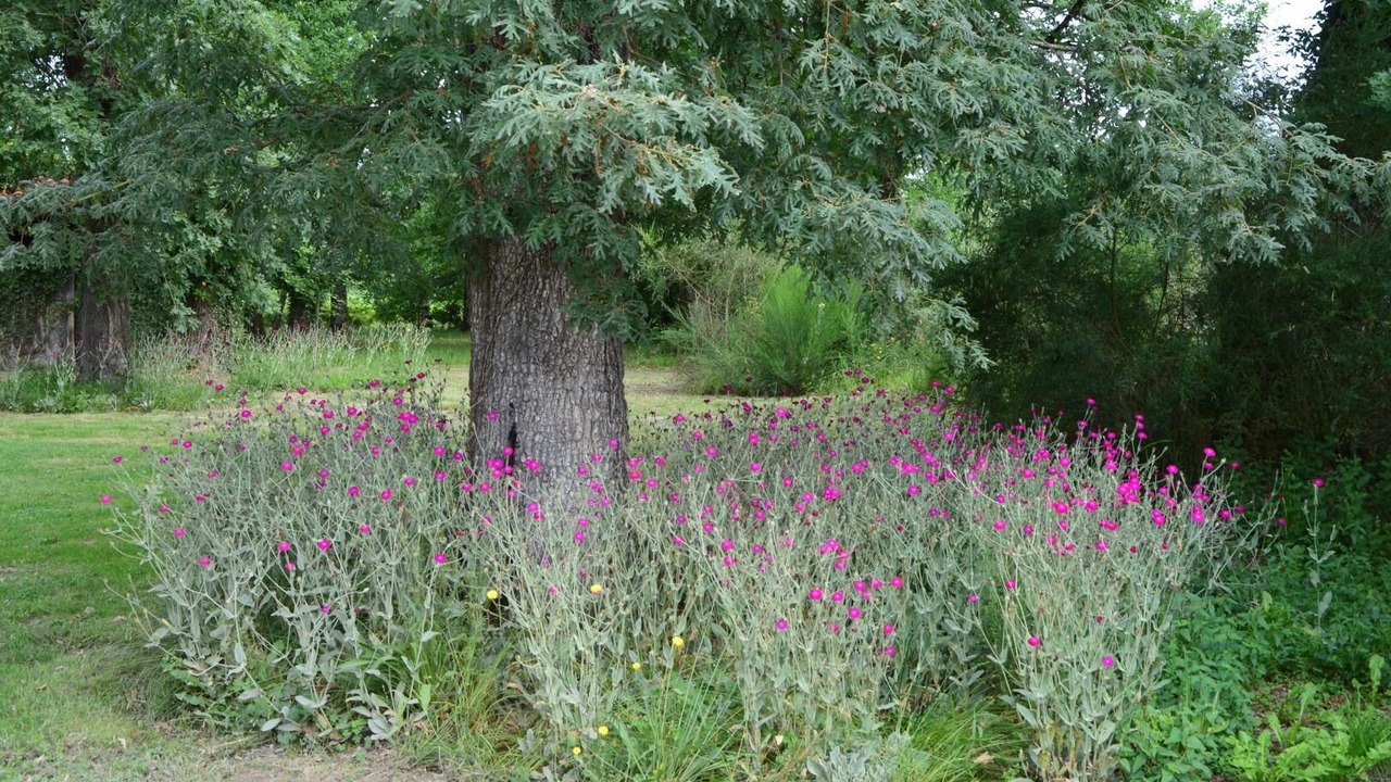 Photo of Outdoor in Saint-Maurice-sur-Adour