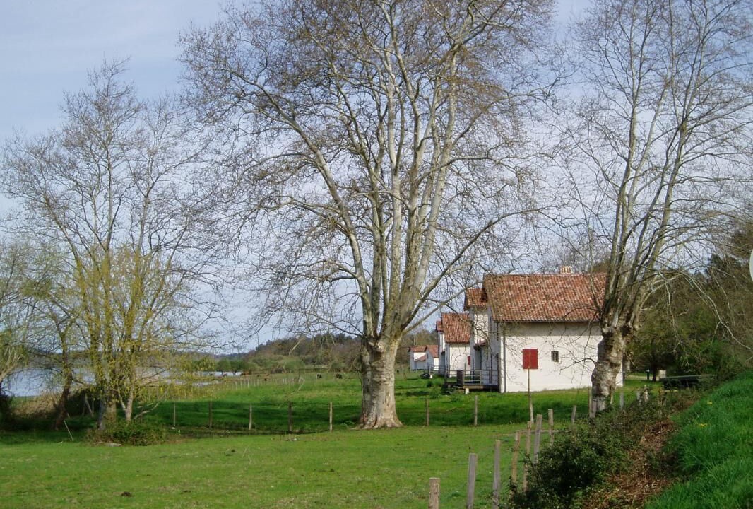 Photo of Outdoor in Orx