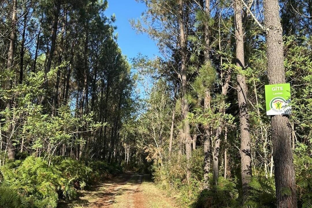 Photo of Outdoor in Argelouse