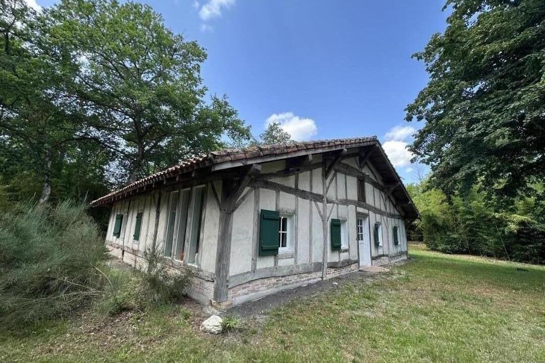 Photo of Outdoor in Sabres