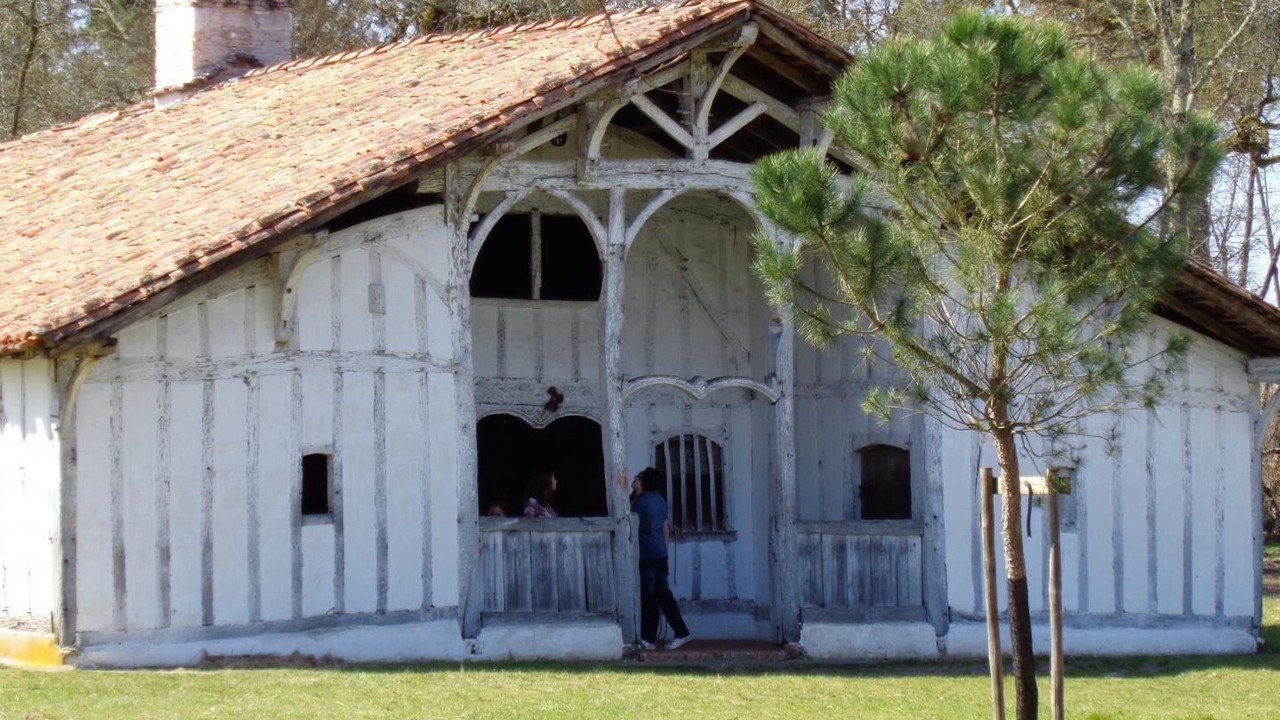 Photo of Outdoor in Luglon
