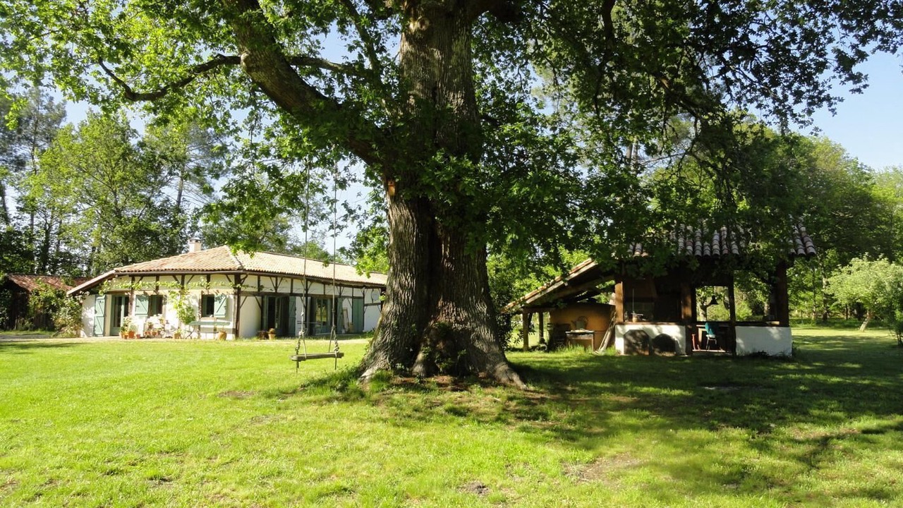 Photo of Outdoor in Luglon