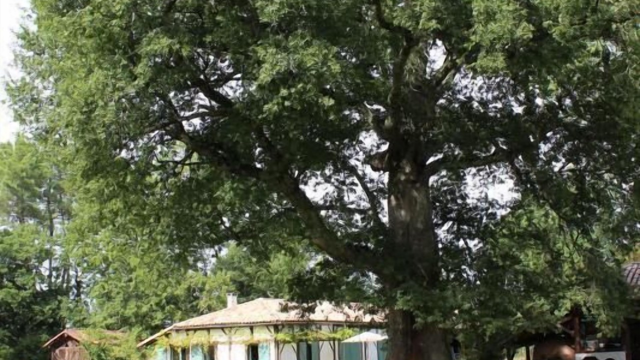 Photo of Outdoor in Luglon