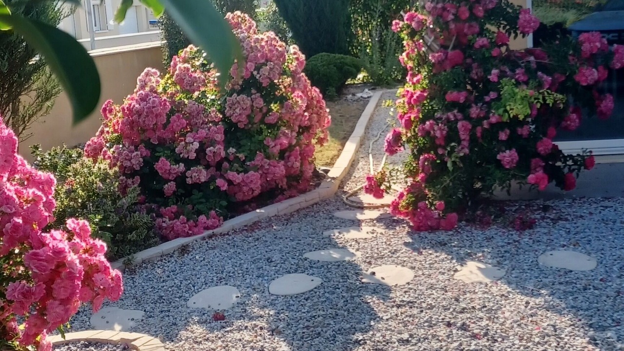 Photo of Outdoor in Meschers-sur-Gironde