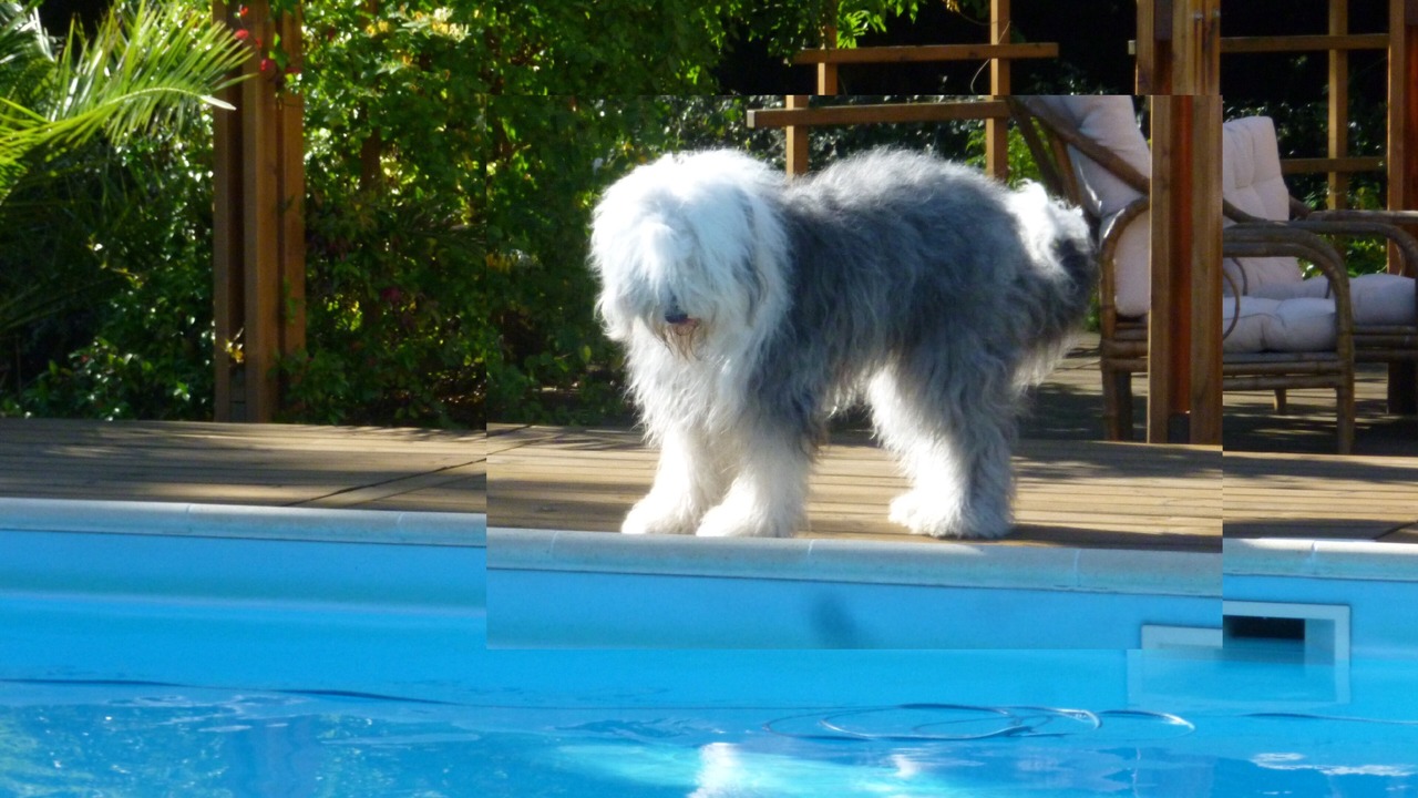 Photo of Outdoor in Fumel